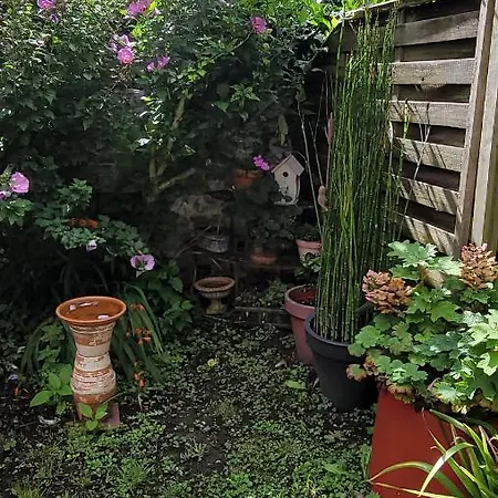 Le Jardin Des Murmures *