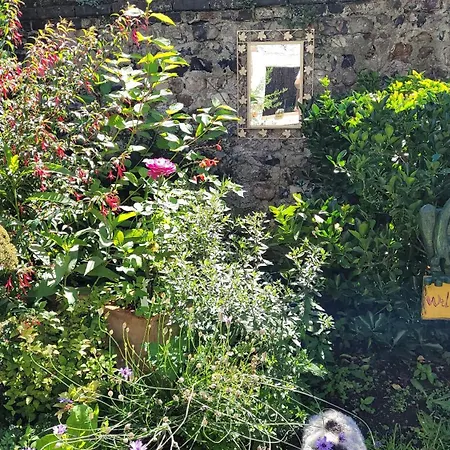 Le Jardin Des Murmures オンフルール