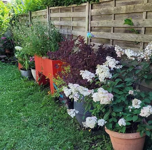 Le Jardin Des Murmures * Honfleur